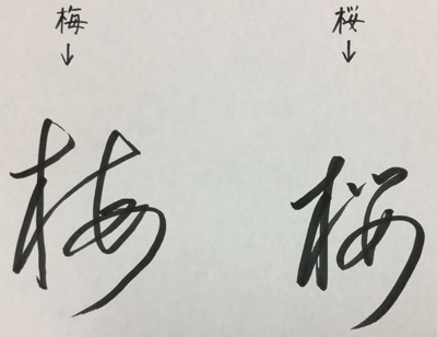 「梅」と「桜」の似ている字体