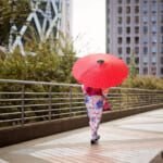 傘の商標、バッグはタダで入るのに外してない？2020年以降権 利漏れ疑惑が急増
